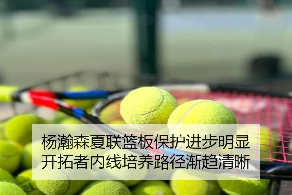 杨瀚森夏联篮板保护进步明显 开拓者内线培养路径渐趋清晰
